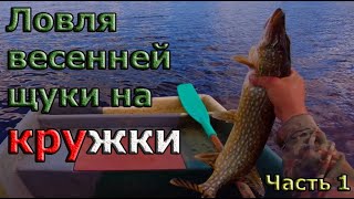 Ловля щуку на кружки весной! РЫБА ПРЕТ!!!