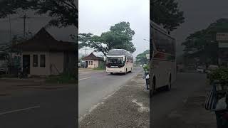 Bus Dieng Indah dikejar Bus Sinar Jaya #shorts #bus