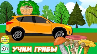 Новые умные машинки - учим грибы. Развивающий мультфильм для детей