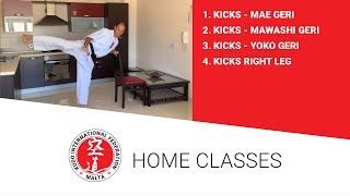 Kudo Home Class 8 - Basic Kick