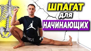 ШПАГАТ для начинающих / 6 упражнений для новичков