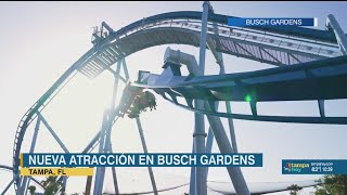 'Phoenix Rising': nueva montaña rusa de Busch Gardens abre sus puertas este fin de semana