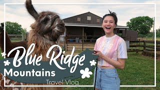 WE WENT ON VACATION! Blue Ridge Mountains and Charlottesville, VA | Travel Vlog 2021 🦙