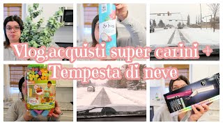 VLOG| ACQUISTI SUPER CARINI + TEMPESTA DI NEVE   4K