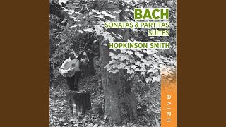 6 Violin Sonatas and Partitas, Partita No. 2 in D Minor, BWV 1004: I. Allemanda (Arr. for Lute)