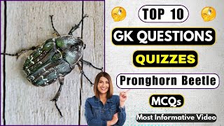 Dive Into The World Of Pronghorn Beetles With These 10 Quiz Questions || Helian GK Quiz