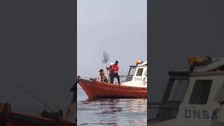 Tarik mAng #fishing #fishingmoment #fishingequipment #mancing #shortvideo