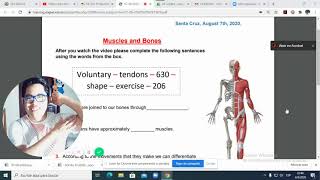 Muscles and Bones Reading Activity