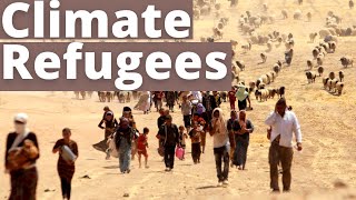 Is Climate Migration Real? (Feat. @CriticalDispatch)