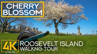 Spring Ride on Onewheel Pint through Roosevelt Island - 4K New York Views & Beautiful Cherry Blossom