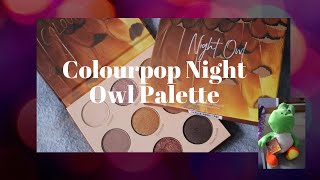 COLOURPOP NIGHT OWL REVIEW + SWATCHES *LIMITED EDITION*