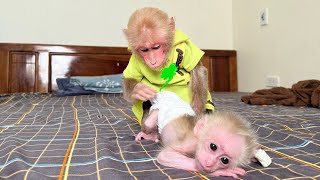 Super funny! Bibi discovered that the baby monkey pooped so he asked Mom to take a bath!