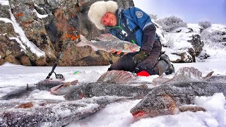 ЭТО УЖАС! КРУПНЯК СХОДИТ С УМА И НЕ ЛЕЗЕТ В ЛУНКУ! ПОЙМАЛИ МЕШОК ЗА ЧАС! ПЕРВЫЙ ЛЁД ЗАПОЛЯРЬЯ 2