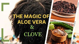 😳THE MAGIC OF ALOE VERA & CLOVES! Do not use this ingredients if you are not ready for Hair Growth