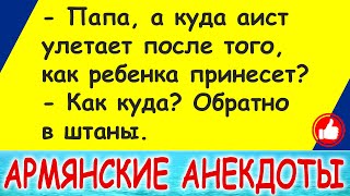 Самые смешные армянские анекдоты и шутки про армян - лучшее в 2021 - выпуск 1