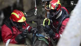 Einsatz Grosstierrettung - Junger Stier aus Jauchegrube gerettet