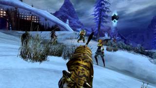 Guild Wars 2 Orange Tiger Eye Bug