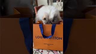 Unboxing Louis Vuitton Sabrina Style