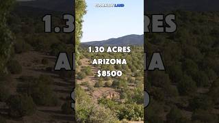 1.30 acres in Arizona for $8500 #foryou #realestate #land #shorts #property #investing #fyp #usa