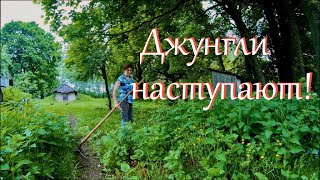 Деревенские будни.