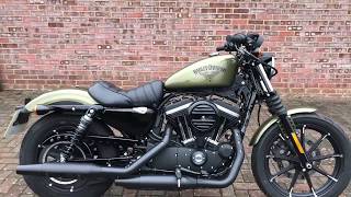 2017 Harley-Davidosn XL883N Sportster Iron Olive Gold For Sale At Shaw Harley-Davidson