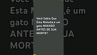 Tente achar 2 Gatos o vídeo e comente se você achou!😁👍#bizarro #curiosidade #shorts