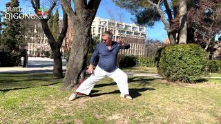 Qi Gong de Printemps | Pratique au Parc | Énergie du printemps