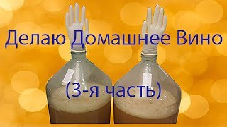 Делаю домашнее вино/3 я часть/Добавляю сахар в бродящее сусло