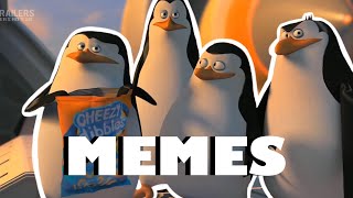 No mires chiquita esto se va poner feo MEMES DE LOS PINGÜINOS DE MADAGASCAR #MaratonConLaCuarentona