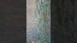 Monet's Waterlily Paintings at the Orangerie  20170916 154337