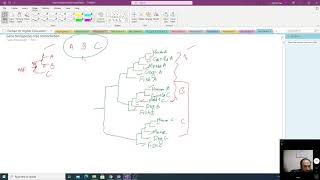 Phylogenetic Tree Topology - Gene species tree reconciliation