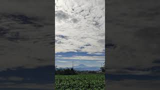 Gunung dan Sawah di pagi hari HD | free footage no copyright