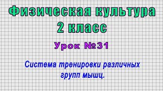 Физическая культура 2 класс (Урок№31 - Система тренировки различных групп мышц.)