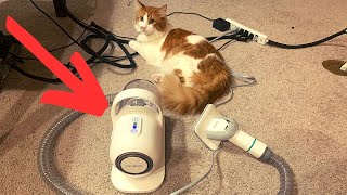 All to Know About Neabot P1 Pro Pet Groomer and Vacuum