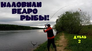 Не клюет плотва🐟 Ловим подлещика 🐠 Рыбалка на пенопласт. Бешеный клёв!!!