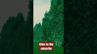 केसा लगा आपको मेरा गाँव#vlog #video