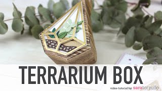 Terrarium Box