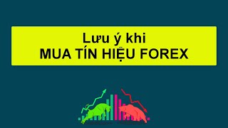 Forex | MỘT SỐ LƯU Ý KHI MUA TÍN HIỆU FOREX TRÊN THỊ TRƯỜNG