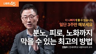 [책이벤트] 건강한 호르몬을 만드는 6가지 원칙 | 안철우 연세대학교 내분비내과 교수 w/ 구범준 PD | #건강 #저속노화 | 세바시나머지45 ep.70