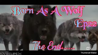 Born As A Wolf|Ep22|(The End(Last Episode/Season 2 comin out! )