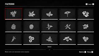 Red Dead Redemption 2 ➤ Справочник ➤ Растения ➤ Plants