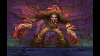 World of Warcraft Classic *Naxxramas* Loatheb kill "Converge Guild【60FPS】