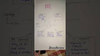 what is ECG (purpose and Procedure) #electrocardiography #medical #medicalstudent #svmedicourse