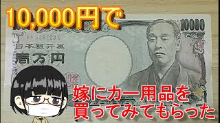 【10,000円企画】カー用品店で嫁に買い物してもらった