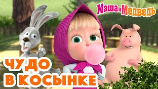 Маша и Медведь 🧞‍♀️🤪Чудо в косынке🤪🧞‍♀️ Коллекция серий про Машу 🎬