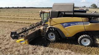 New Holland CR9070 Cutting Spirng Barley