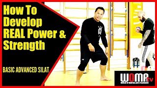 How To Develop REAL Power & Strength SMASH Thru WOOD POLE