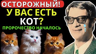 То, что Чико Ксавье предсказал тем, у кого дома есть кот, уже началось, и ВСЕ В ШОКЕ I Пророчества