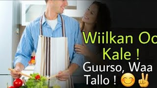 Wiilkaan ookale Guurso Taloyin Qaas uah Dumarka