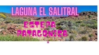 LAGUNA EL SALITRAL -  PIEDRA DEL AGUILA   (NEUQUEN)